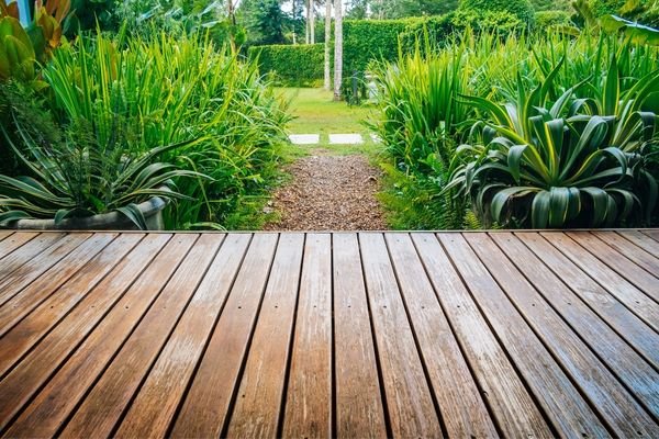 Professional service in Wattle Park